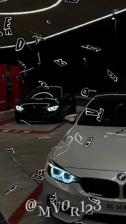 dance se souber 2024