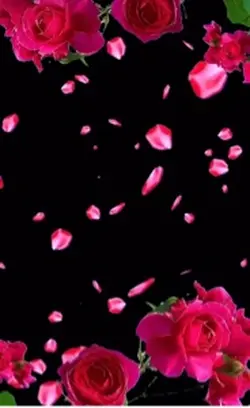Frases para ti