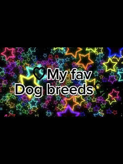 My fav dog breeds♡