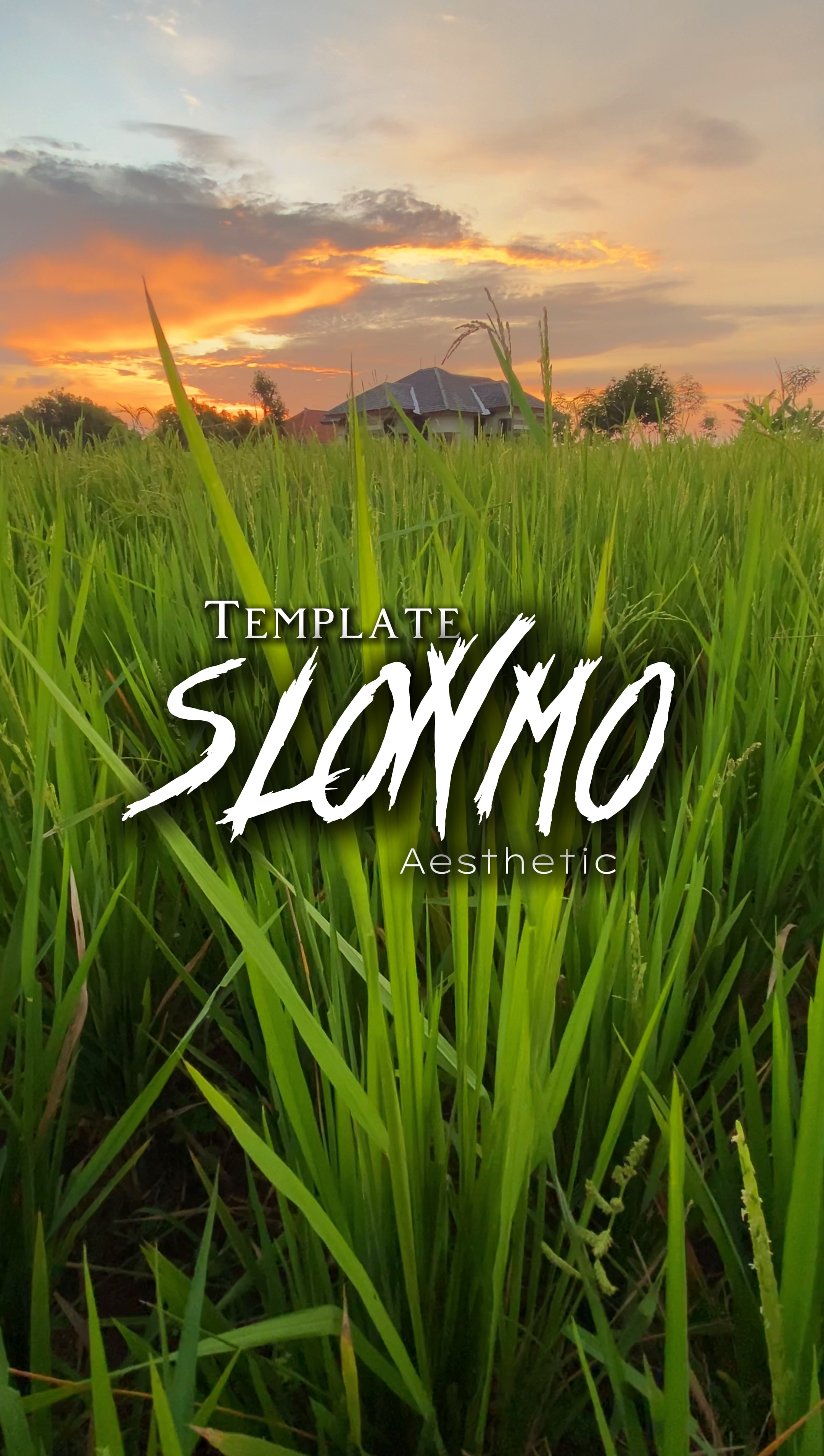 Template aesthetic