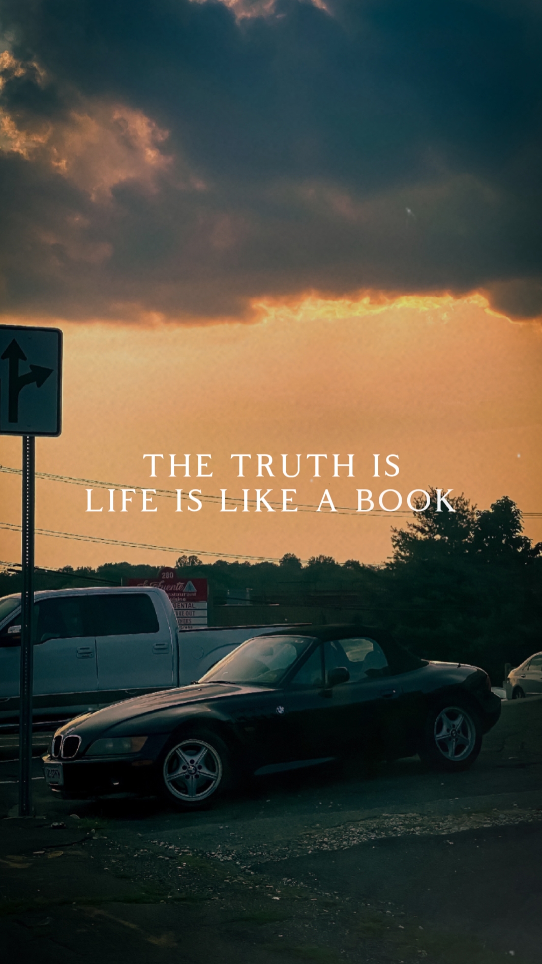 LIFE IS A BOOK