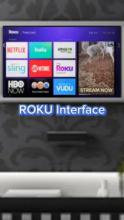 ROKU Interface
