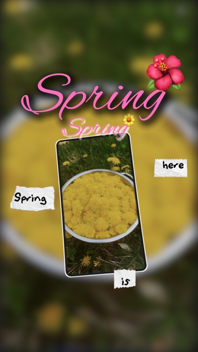 Frühling 