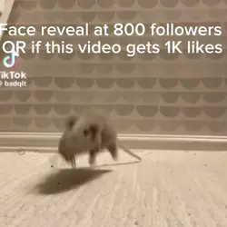 Face Reveal