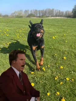 Anchorman