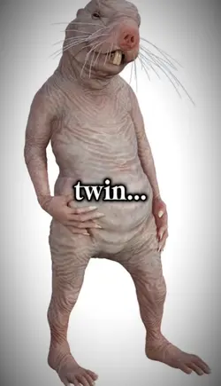 Twin