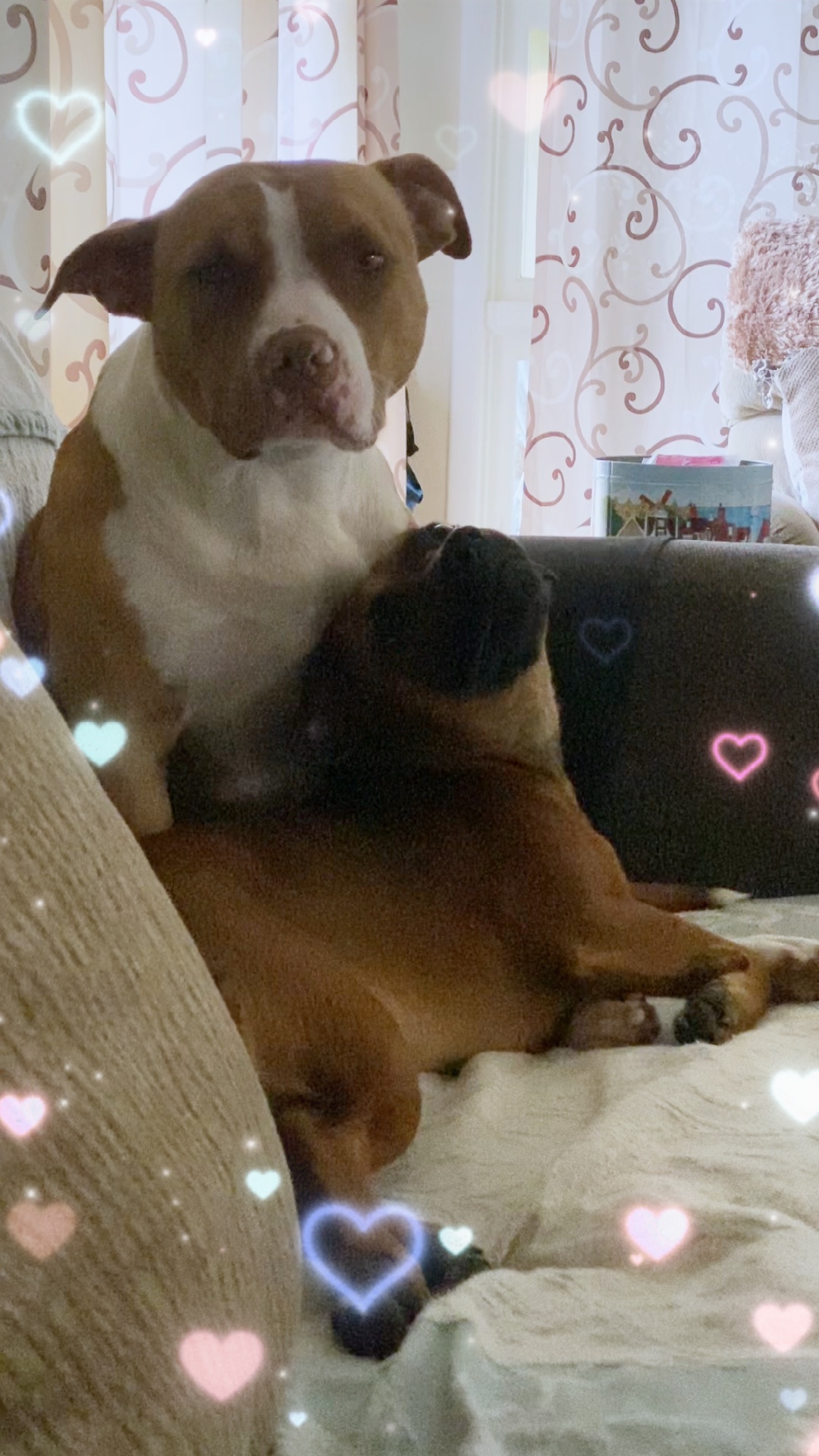 sonsuza kadar benimle kal❤️