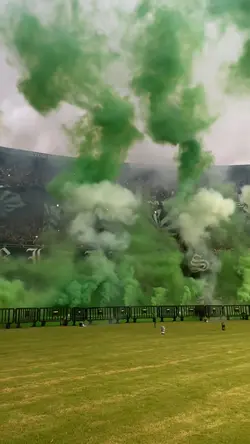 Coritiba fc