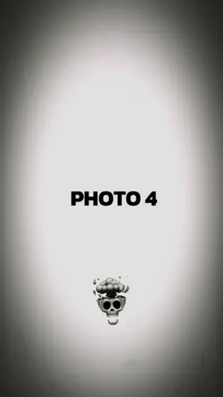 VÁRIAS CAVEIRAS 1:1