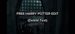 Harry+Ginny Edit