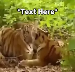 Tiger monkey meme 