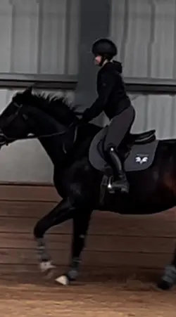 ⚠️NOT REAL⚠️