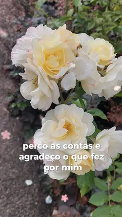 Louvou bençãos 🙏