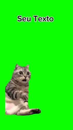 meme gato surpreso