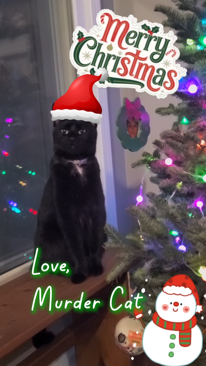 Natal do gato assassino 