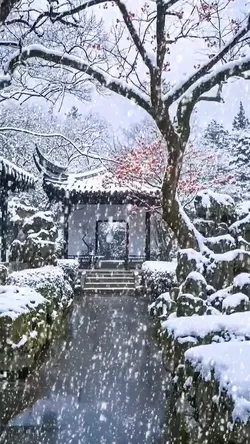 Snow scene