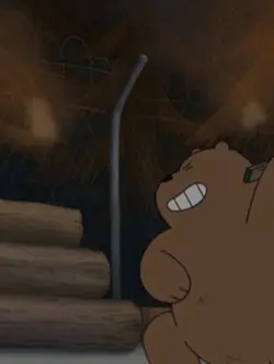 We bare bears