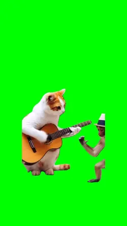 CAT MONKEY