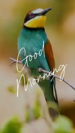 Good morning ❤️