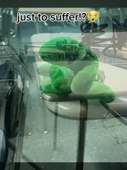 why r we still here?