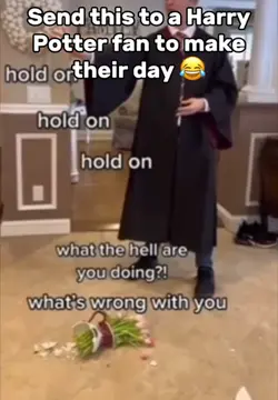 Harry Potter Meme
