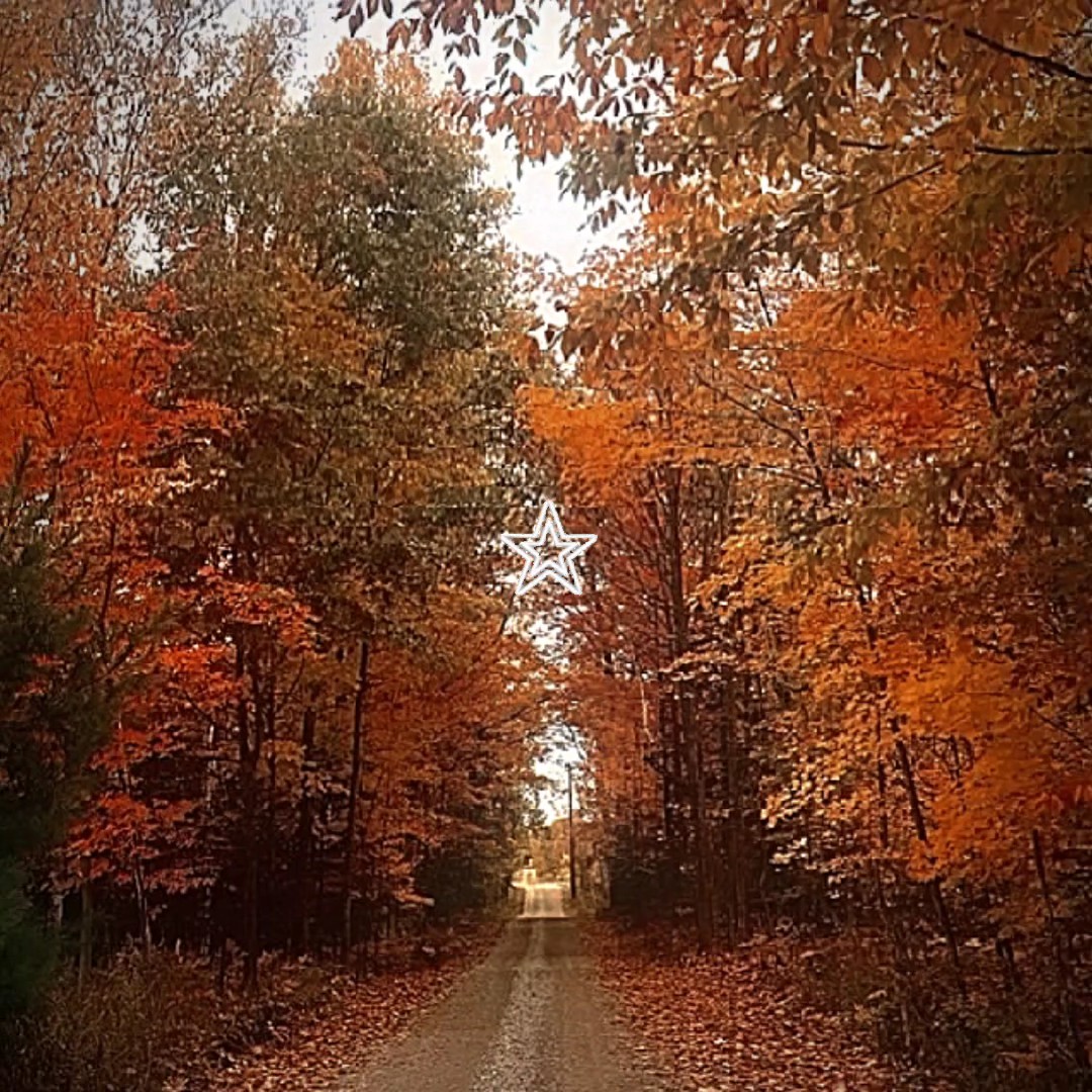 Herbst 