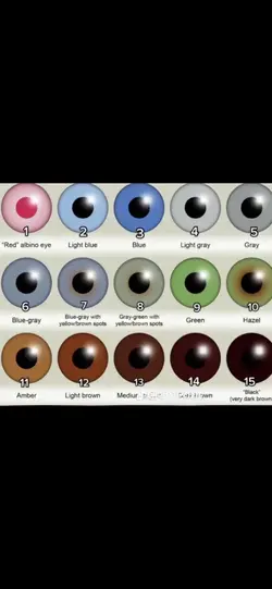 Eye color