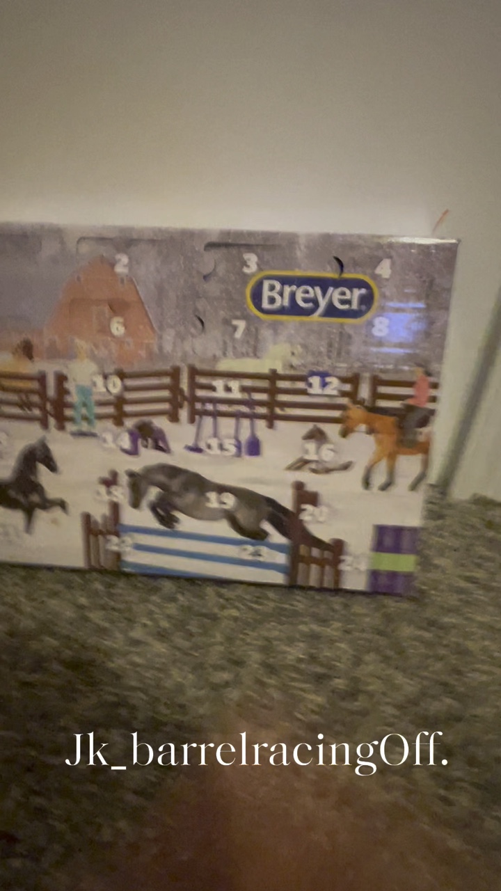 Tag 8 der Breyer