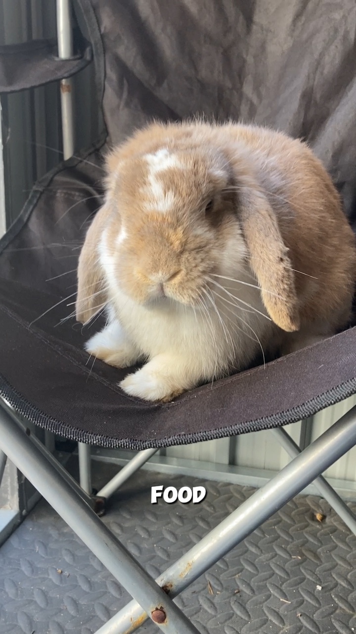 I’m hungry 