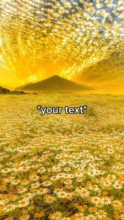 Beautiful yello