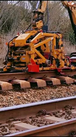 Profissional da P***