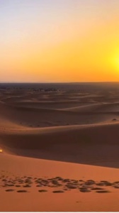 Passeio de camelo Dubai