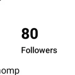 80 Followers?!