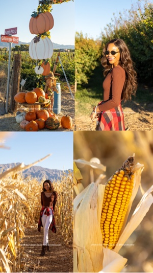 Hello Autumn 🍂 