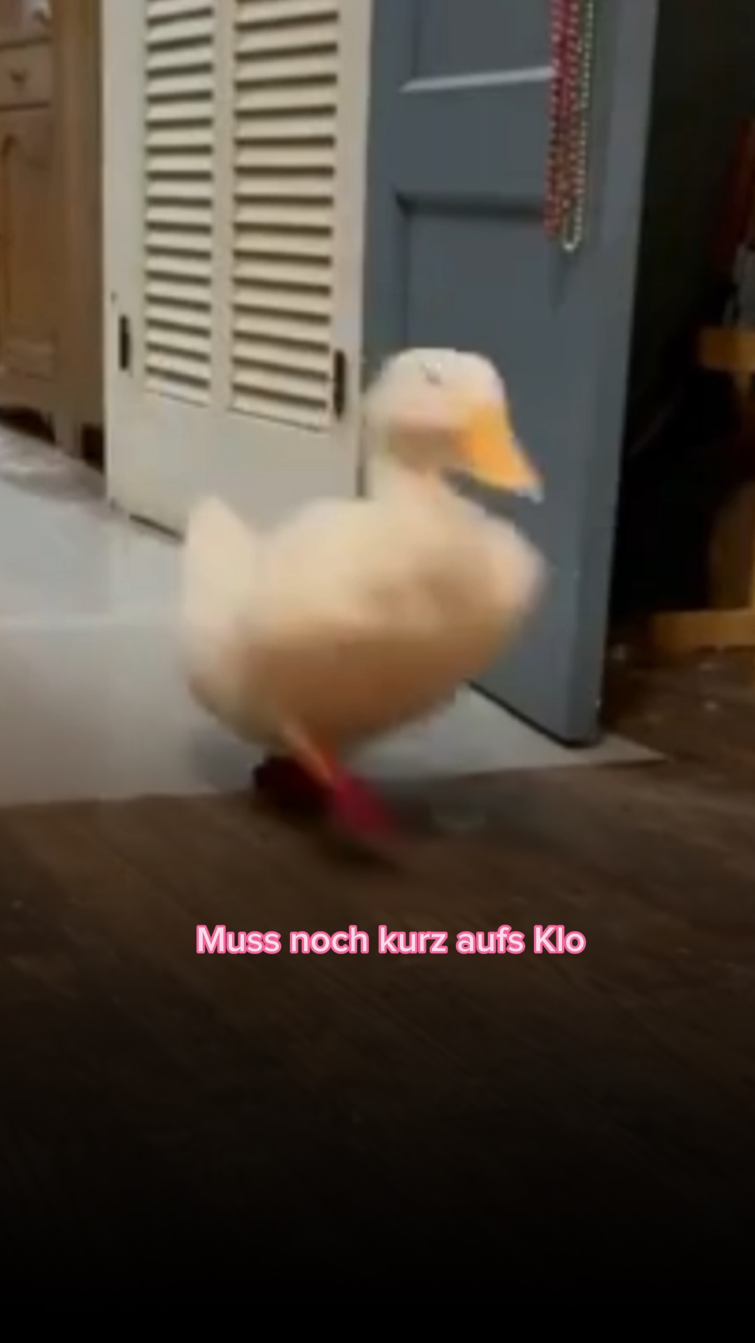 Frauen…🤦🏽‍♀️😂