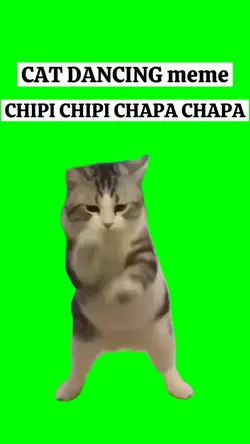CAT DANCING meme