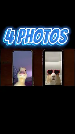 4Photos 