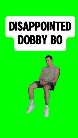 DISAPPOINTED DOBBY