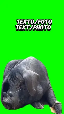 puerco meme013