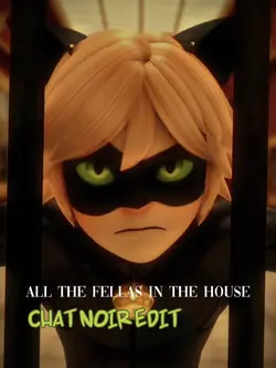 wanna ride -cat noir