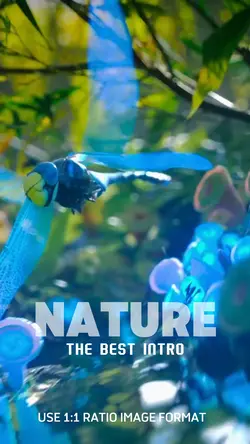 Nature Best Intro