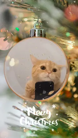 Xmas ornament selfie