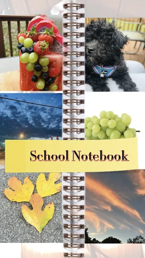 Caderno Escolar 