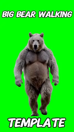 Big bear walking