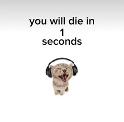 random template 0-0