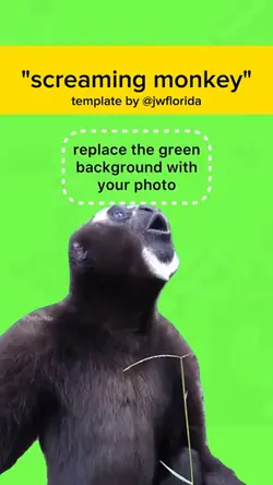 screaming monkey