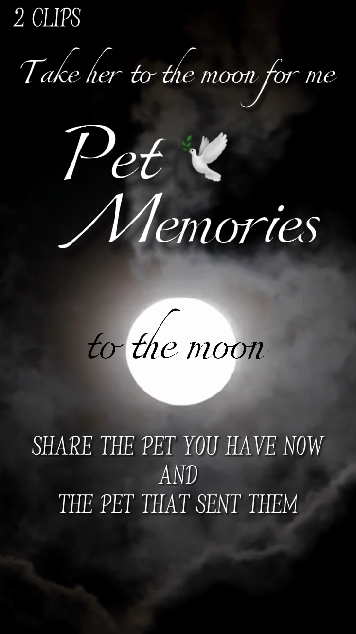 Pet Memories 