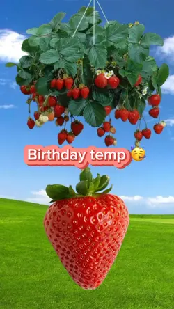 Birthday template 🥳