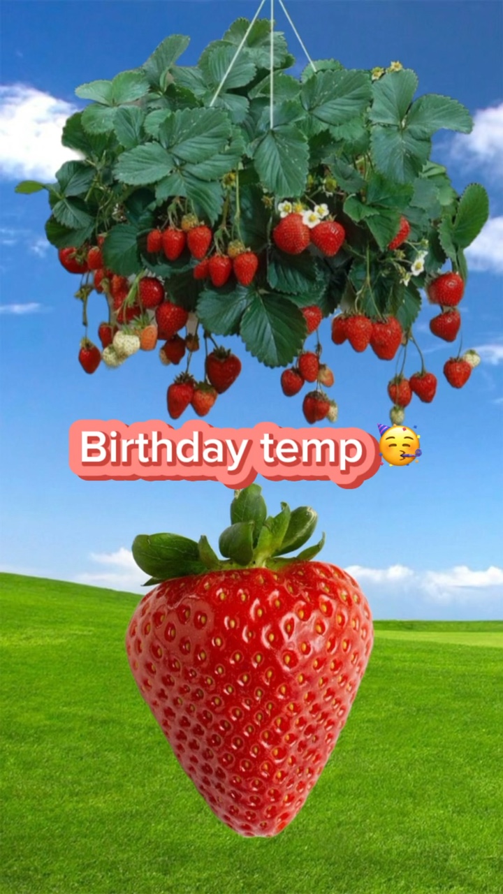 Birthday template 🥳