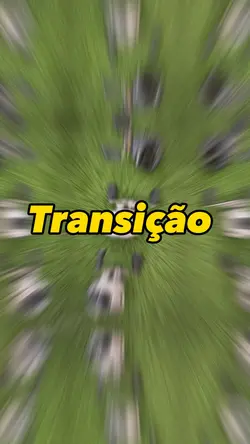 Transição agitada